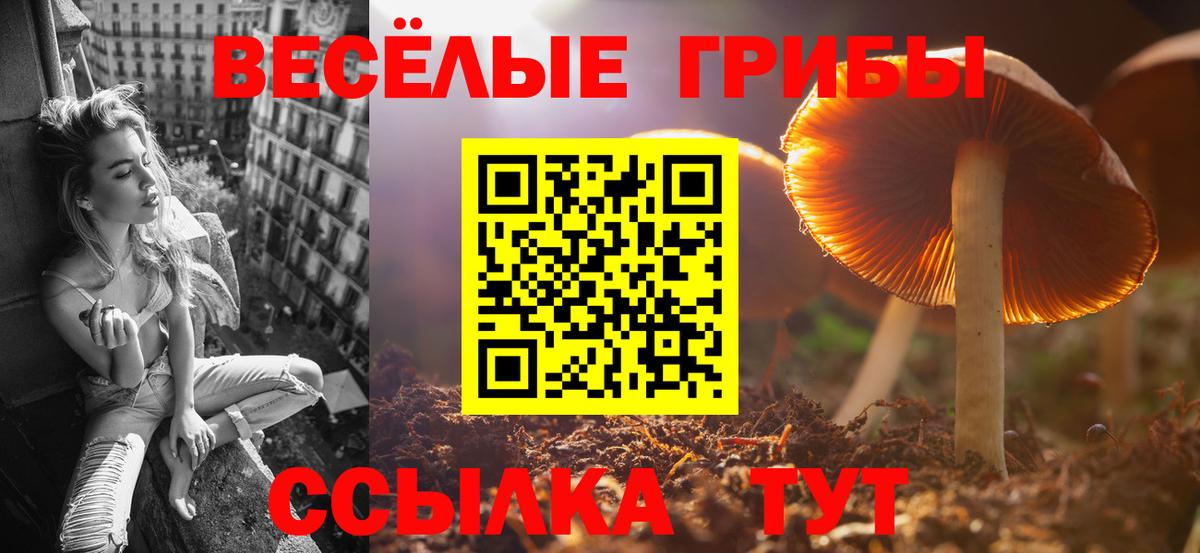 Галлюциногенные грибы ЛСД Рассказово