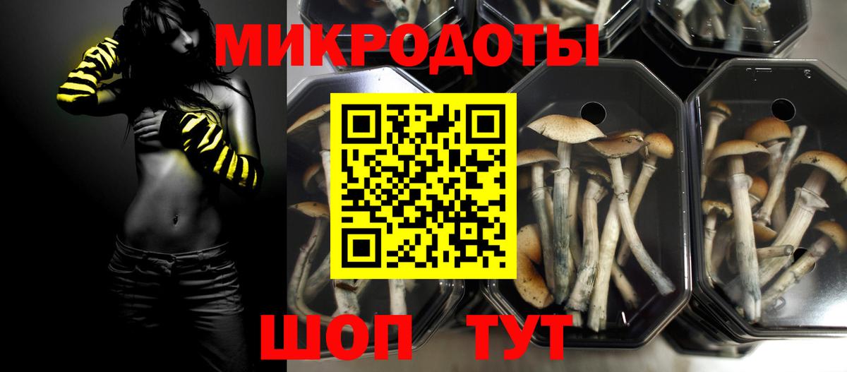 Рассказово  Галлюциногенные грибы мухоморы  Вход с VPN 